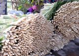 Tiền Giang: Cấp chứng nhận nhãn hiệu tập thể cho cây sả Tân Phú Đông