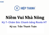 Kỳ 7 - Chằm Sóc Chanh bằng Roots HT