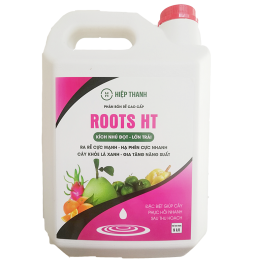 ROOTS HT CAN 5L 